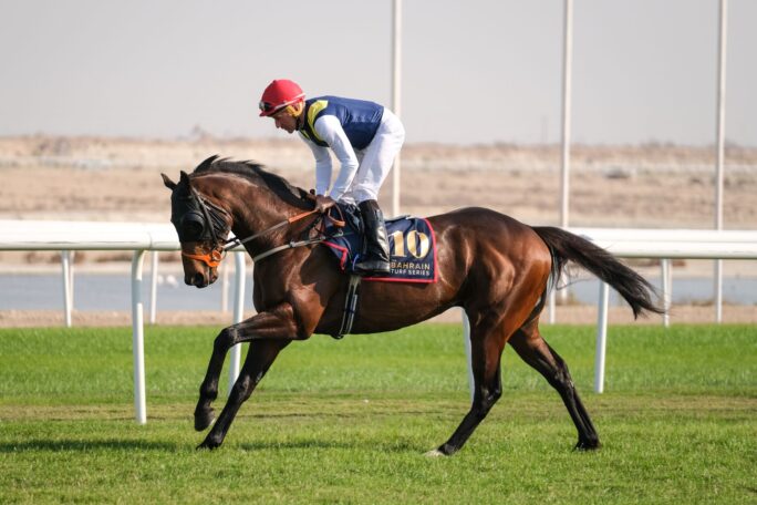 Re-sized for website